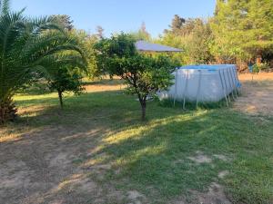 un arbre et un objet blanc dans l'herbe dans l'établissement Villa Lidia, à Quartu SantʼElena 11 autres photos
