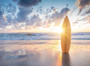 Příroda nedaleko vily