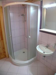 a bathroom with a shower and a sink at Apartmány Yellow in Horní Maršov