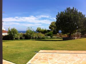 a field of grass with a tree and the ocean at Xenon Estate in Spetses