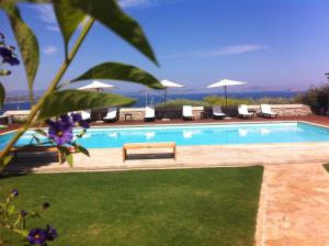 a swimming pool with chairs and umbrellas at Xenon Estate in Spetses