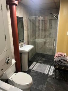 a bathroom with a shower and a toilet and a sink at Downtown Cleveland Historic District in Cleveland +10 photos