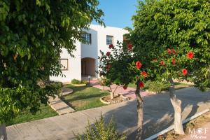 Zahrada ubytování Hotel Marilen
