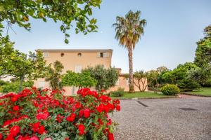 a house with red flowers and a palm tree at Villa Irlanda Grand Hotel in Gaeta