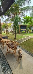 Vườn quanh Mercusuar Resort Jepara