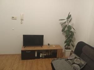a living room with a flat screen tv on a table at Apartmani Janićijević 1 in Kragujevac