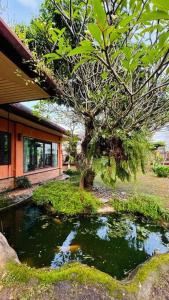 a koi pond in front of a house at Vela House Phuket in Changwat Phuket +22 photos