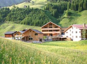 a group of buildings on a hill with a grass field at Villa Natur in Schröcken