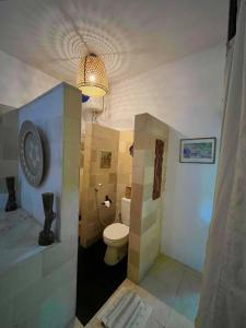 a bathroom with a toilet and a clock on the wall at Frangipani garden villa in Senggigi 
