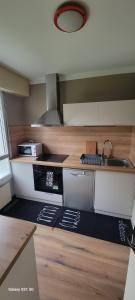 Η κουζίνα ή μικρή κουζίνα στο Maghy Appart à Strasbourg +6 φωτογραφίες