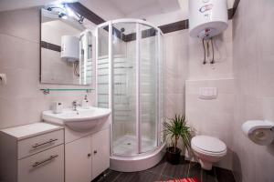 Kúpeľňa v ubytovaní Apartments Vidilica + 37 fotografií