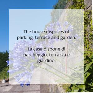Kép VILLA VICINUS - 120 mq - parking - garden szállásáról Vietriben a galériában