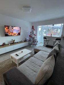 a living room with a christmas tree and a couch at Mountain View in Sinaia