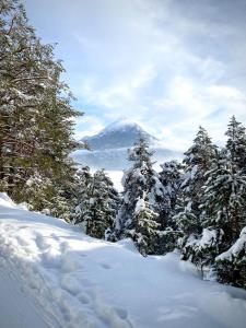 Paesaggio naturale nelle vicinanze dell'appartamento