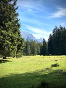 Paesaggio naturale nelle vicinanze dell'appartamento