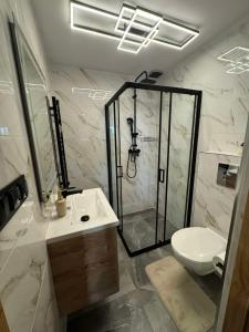 Kúpeľňa v ubytovaní Apartament Ślebodny Upłaz