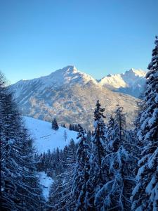 Paesaggio naturale nelle vicinanze dell'appartamento