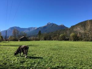 Paesaggio naturale nelle vicinanze dell'appartamento