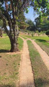 Vườn quanh Windy Ridge Cottage