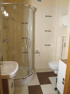 カジミエシュ・ドルニにあるApartament Wika - Pod Aniołemのバスルーム(シャワー、洗面台、トイレ付)