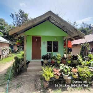 Vườn quanh Sukau Sandipau Stay