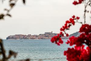 a view of a city and the water with red flowers at Villa Irlanda Grand Hotel in Gaeta