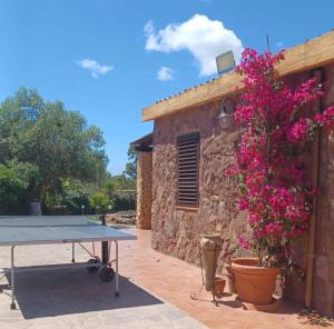 Imagen de la galería de Alghero - Grotte di Nettuno cortes, en Santa Maria la Palma 74 fotos más