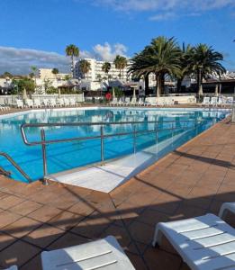 a large swimming pool with chairs and palm trees at Yumbo Rainbow Homes D in Maspalomas