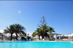 a large swimming pool with palm trees and chairs at Yumbo Rainbow Homes C in Maspalomas