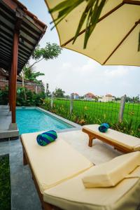 a pool with two lounge chairs and an umbrella at Rumah Tengah Sawah Bali in Ubud +17 photos