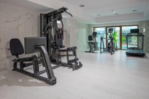 Fitness centrum a/nebo fitness zařízení v ubytování Hotel Cascada BAILE OLANESTI