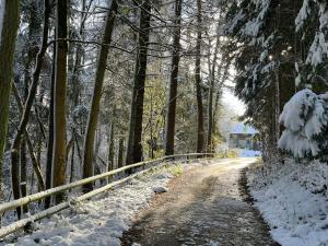 a snow covered road in a forest with a fence at Drovers Retreat in Llandrindod Wells +41 photos