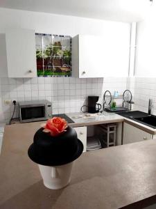 Kuchyň nebo kuchyňský kout v ubytování Appartement Anse-MitanTrois-Îlets, proche plage et loisirs + 2 fotografie