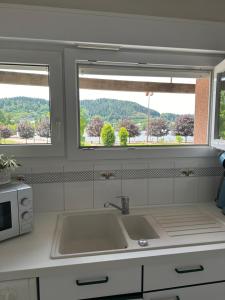 a kitchen with a sink and two windows at Le Gîte au bord du Lac in Gérardmer