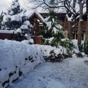 Το Villa Garden Hotel τον χειμώνα