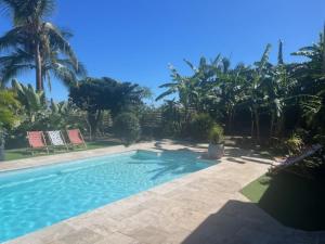 Bazén v ubytování La Bananeraie Apt 35m2 piscine jardin tropical parking privé nebo v jeho okolí