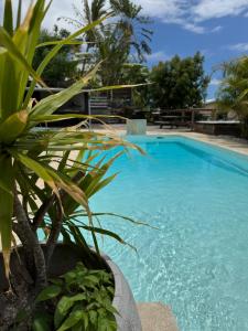 Bazén v ubytování La Bananeraie Apt 35m2 piscine jardin tropical parking privé nebo v jeho okolí