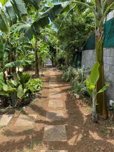 Zahrada ubytování La Bananeraie Apt 35m2 piscine jardin tropical parking privé