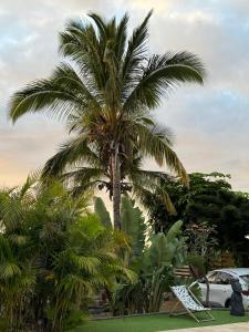Zahrada ubytování La Bananeraie Apt 35m2 piscine jardin tropical parking privé