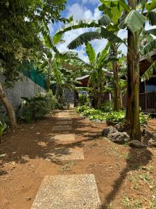 Zahrada ubytování La Bananeraie Apt 35m2 piscine jardin tropical parking privé