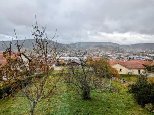 a view of a city from a hill with houses at Appartement rénové avec jardin, parking et WiFi à Gérardmer - FR-1-589-678 in Gérardmer