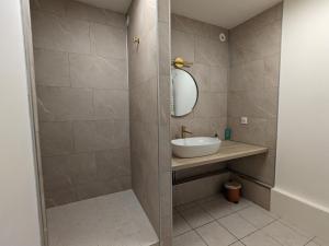 a bathroom with a sink and a mirror at Gîte rénové avec parking à proximité de Saint-Dié-des-Vosges - FR-1-589-675 in Saint-Michel-sur-Meurthe
