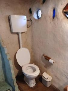 ein Badezimmer mit einem weißen WC und einem Mülleimer in der Unterkunft Espacio Tierra in Punta Colorada + 27 Fotos