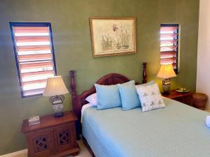 - une chambre avec un lit doté d'oreillers bleus et de 2 lampes dans l'établissement Willmett Street 3/19, à Townsville