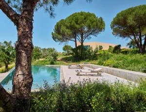 a pool with benches and trees in a park at Cá na Serra in Melides