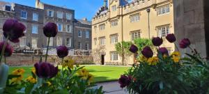 a bunch of flowers in front of a building at Sidney Sussex College, Cambridge in Cambridge +9 photos