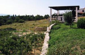 Zahrada ubytování Holiday Home Vineyard house