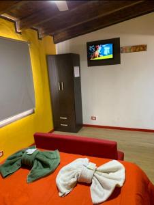 a room with a bed and a flat screen tv at Alquiler por día en MALARGÜE muy céntrico in Malargüe