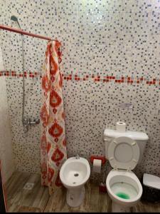 a bathroom with a toilet and a shower curtain at Alquiler por día en MALARGÜE muy céntrico in Malargüe