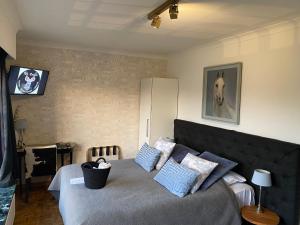 TV a/nebo společenská místnost v ubytování Hotel Ten Lande